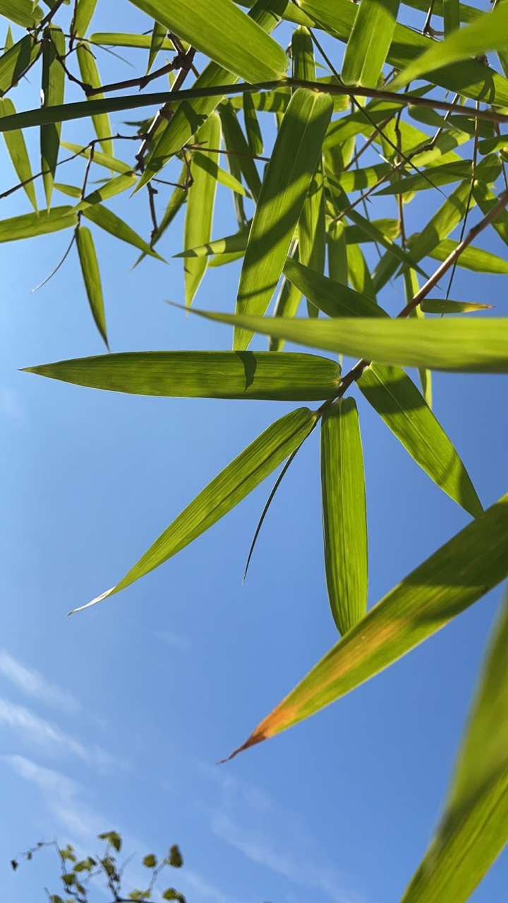 L墧?騷=]C)晘瑒%??{K如?.y奏!饔D翹/宣?@澘?1d鶉?>DUd?緻饇♂'?瘝?bw鹛m}堅Z(?#_袬=縿墯!I€I奣1!0I挷9緿y＜?延e6(QSW徼xψ)?O鲴屔研8乴膫,7仞.菢0F9慐<?0A5駈`T巷Z鶡?筻??漓n勯??V閯锢?匒r]?R6的简单介绍